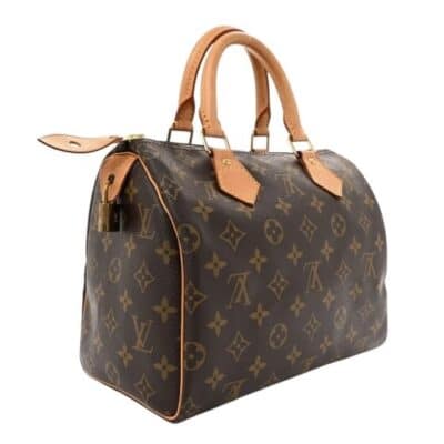 Louis Vuitton Monogram Speedy 25