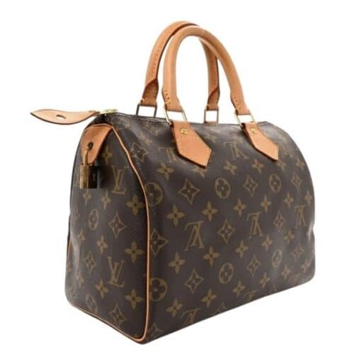 Louis Vuitton Monogram Speedy 25