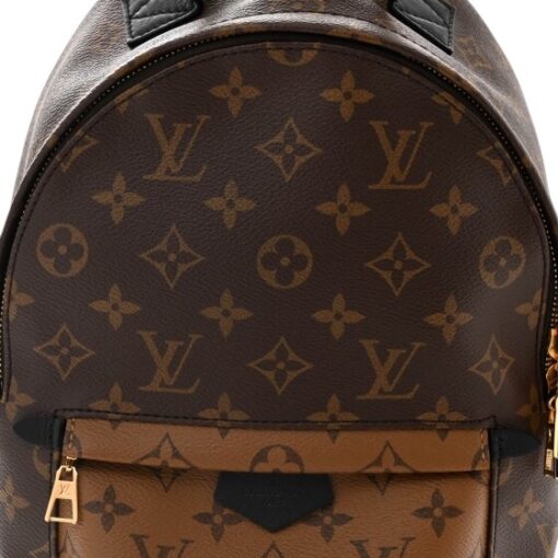 Louis Vuitton Reverse Monogram Palm Springs Backpack PM - Image 10