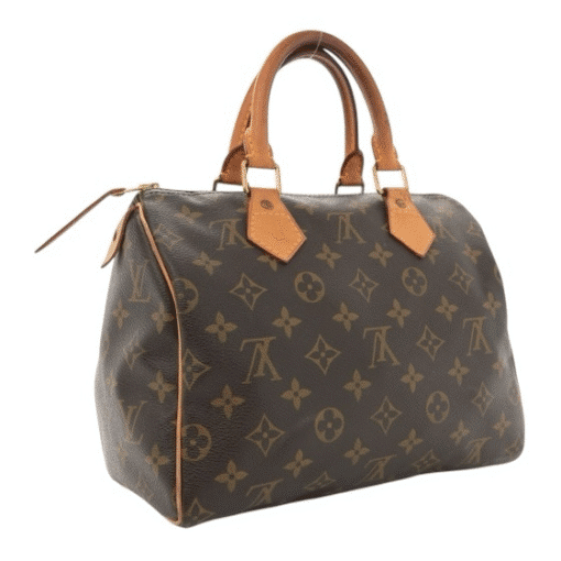Louis Vuitton Monogram Speedy 25