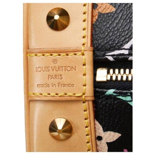 Louis Vuitton Monogram Multicolor Alma PM - Image 4