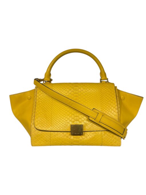 CELINE Python Calfskin Small Trapeze 2 ways Mimosa shoulder bag - Image 13