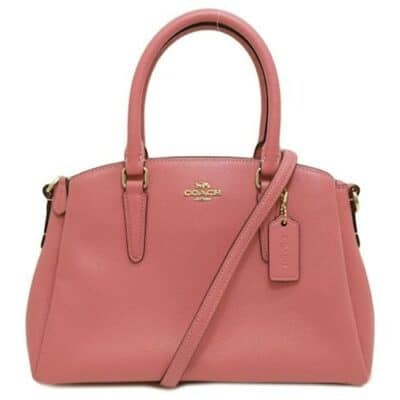 Coach Mini Sage Carryall Crossbody Rouge Bag