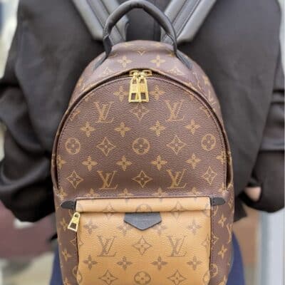 Louis Vuitton Reverse Monogram Palm Springs Backpack PM